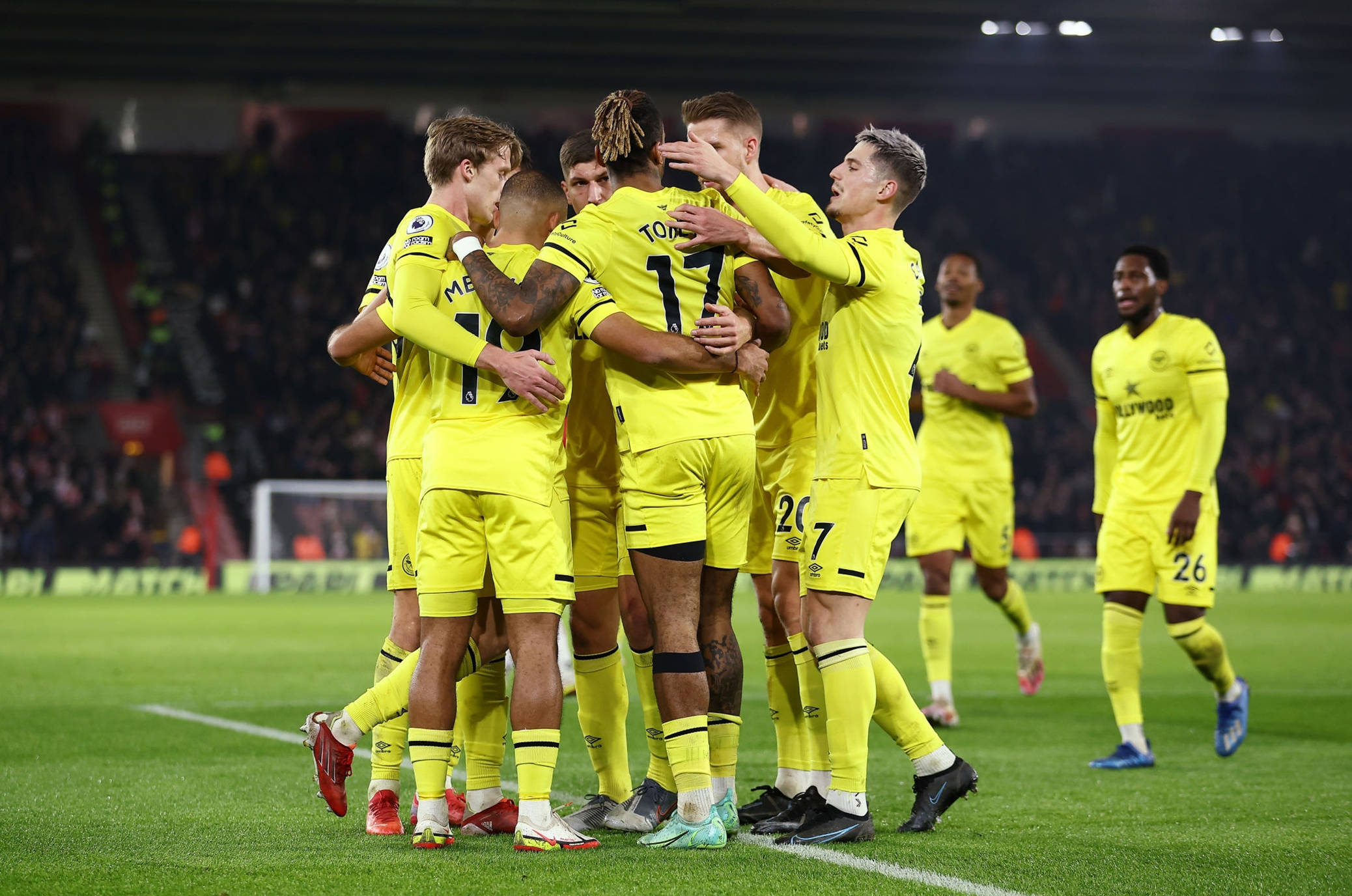 拉多利德带 拉多利德带